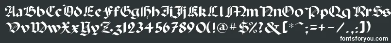 Шрифт PaladinpcrusMedium – белые шрифты на чёрном фоне