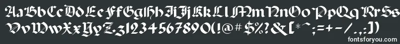 フォントPaladinpcrusMedium – 黒い背景に白い文字