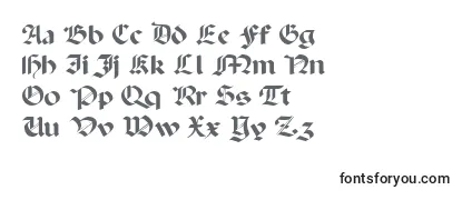 Обзор шрифта PaladinpcrusMedium