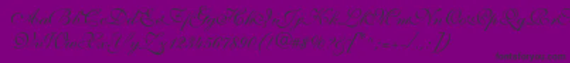 SarahvolantedbNormal-Schriftart – Schwarze Schriften auf violettem Hintergrund