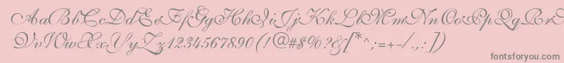 SarahvolantedbNormal Font – Gray Fonts on Pink Background