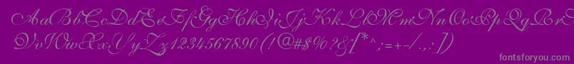 SarahvolantedbNormal-Schriftart – Graue Schriften auf violettem Hintergrund