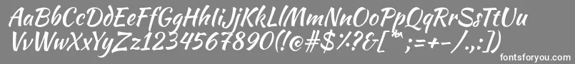 KaushanscriptRegular Font – White Fonts on Gray Background
