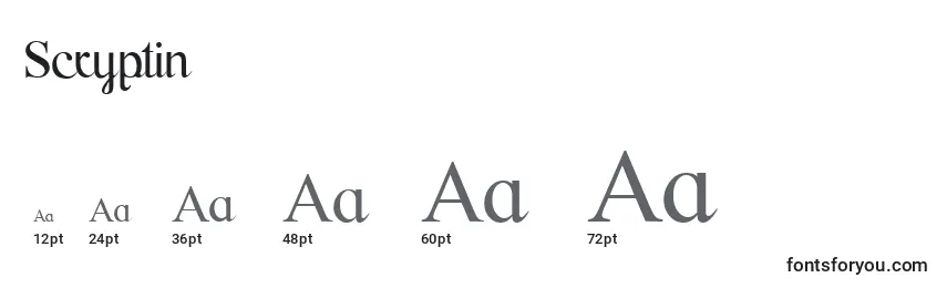 Размеры шрифта Scryptin