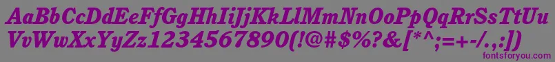 フォントCushingstdHeavyitalic – 紫色のフォント、灰色の背景