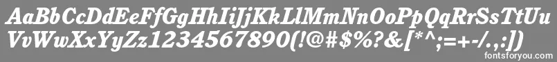 フォントCushingstdHeavyitalic – 灰色の背景に白い文字