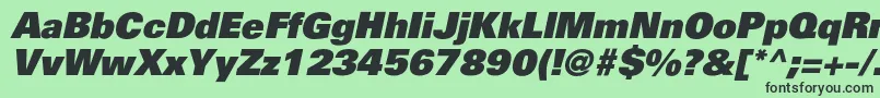 フォントPartnerblackItalic – 緑の背景に黒い文字