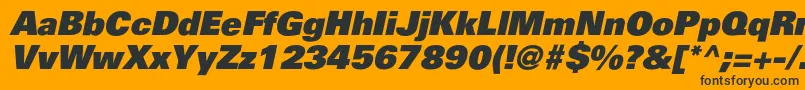 PartnerblackItalic Font – Black Fonts on Orange Background