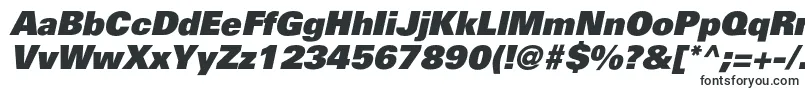 PartnerblackItalic-fontti – Viralliset fontit