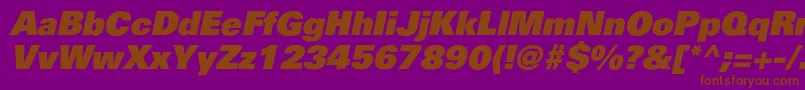 PartnerblackItalic-Schriftart – Braune Schriften auf violettem Hintergrund