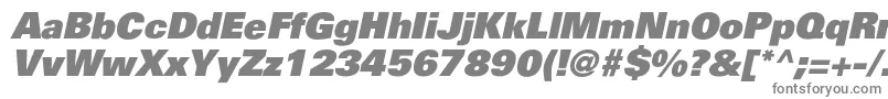 フォントPartnerblackItalic – 白い背景に灰色の文字