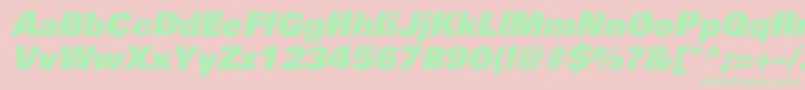 PartnerblackItalic Font – Green Fonts on Pink Background