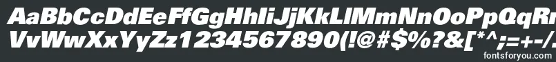 フォントPartnerblackItalic – 黒い背景に白い文字