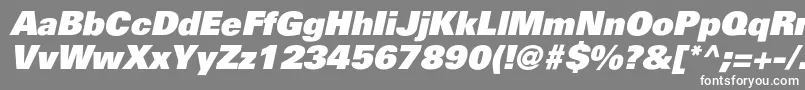PartnerblackItalic-Schriftart – Weiße Schriften auf grauem Hintergrund