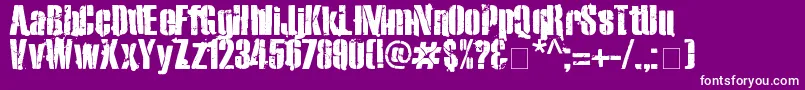 Exo2Stencil Font – White Fonts on Purple Background