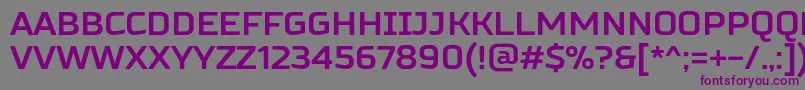 RussoSansBold Font – Purple Fonts on Gray Background