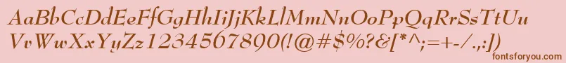 BernhardModernBoldItalic Font – Brown Fonts on Pink Background