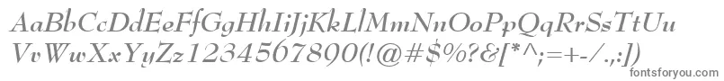 BernhardModernBoldItalic Font – Gray Fonts