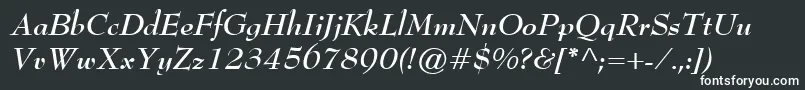 BernhardModernBoldItalic Font – White Fonts on Black Background