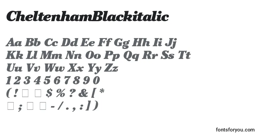 Fuente CheltenhamBlackitalic - alfabeto, números, caracteres especiales