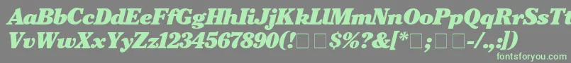 CheltenhamBlackitalic Font – Green Fonts on Gray Background
