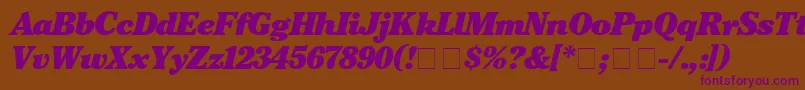 CheltenhamBlackitalic Font – Purple Fonts on Brown Background