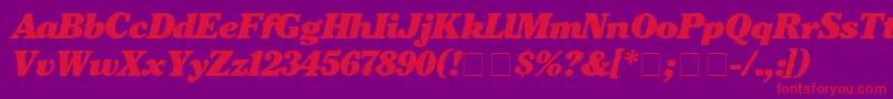 CheltenhamBlackitalic Font – Red Fonts on Purple Background