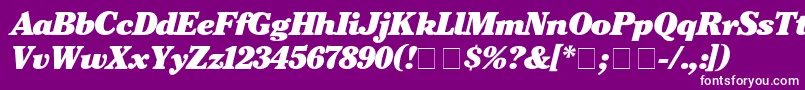 CheltenhamBlackitalic Font – White Fonts on Purple Background