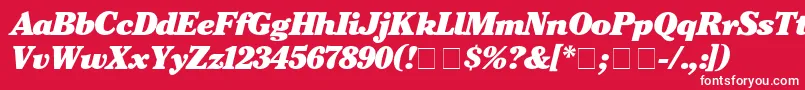 Czcionka CheltenhamBlackitalic – białe czcionki na czerwonym tle