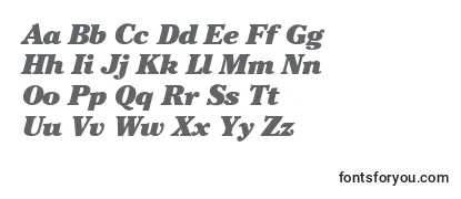 CheltenhamBlackitalic Font