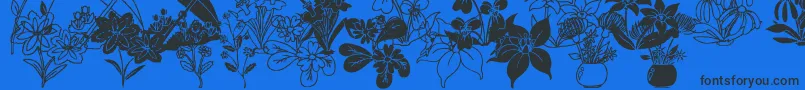 Czcionka DtFlowers2 – czarne czcionki na niebieskim tle