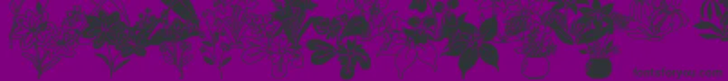 More about DtFlowers2 Font DtFlowers2 Font – Black Fonts on Purple Background