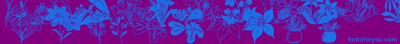 Czcionka DtFlowers2 – niebieskie czcionki na fioletowym tle