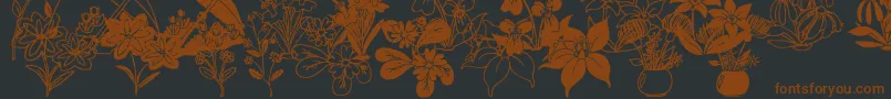 フォントDtFlowers2 – 黒い背景に茶色のフォント