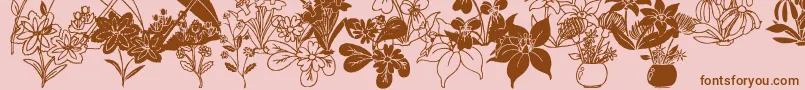 More about DtFlowers2 Font DtFlowers2 Font – Brown Fonts on Pink Background