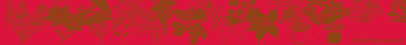 Czcionka DtFlowers2 – brązowe czcionki na czerwonym tle