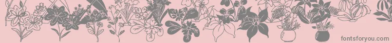 フォントDtFlowers2 – ピンクの背景に灰色の文字