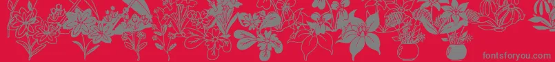 DtFlowers2 Font – Gray Fonts on Red Background
