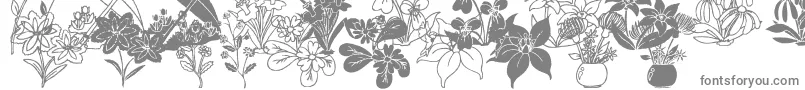 DtFlowers2 Font – Gray Fonts on White Background