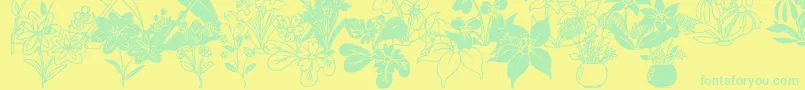 DtFlowers2 Font – Green Fonts on Yellow Background
