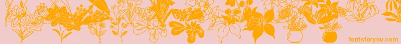 DtFlowers2 Font – Orange Fonts on Pink Background