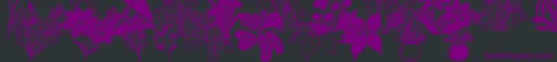 DtFlowers2 Font – Purple Fonts on Black Background