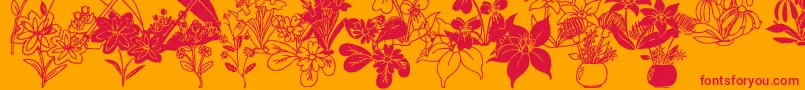DtFlowers2 Font – Red Fonts on Orange Background