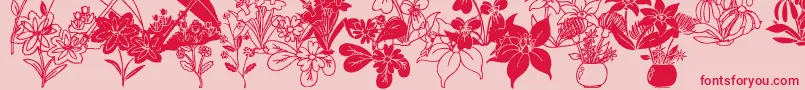 More about DtFlowers2 Font DtFlowers2 Font – Red Fonts on Pink Background