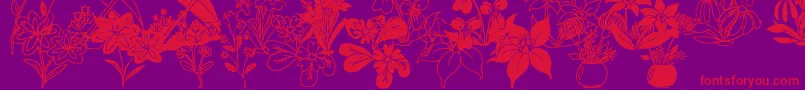 DtFlowers2-Schriftart – Rote Schriften auf violettem Hintergrund