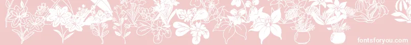 DtFlowers2 Font – White Fonts on Pink Background