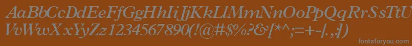TerminussskSemibolditalic Font – Gray Fonts on Brown Background