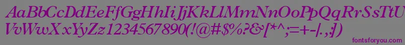 Weitere Informationen zur TerminussskSemibolditalic-Schriftart TerminussskSemibolditalic-Schriftart – Violette Schriften auf grauem Hintergrund