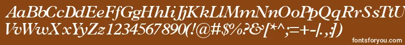 TerminussskSemibolditalic-Schriftart – Weiße Schriften auf braunem Hintergrund