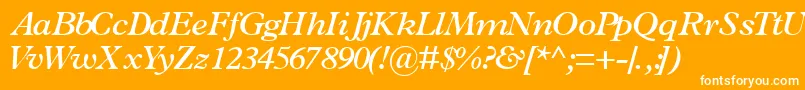 TerminussskSemibolditalic Font – White Fonts on Orange Background